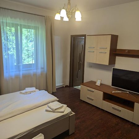 Casa Alex Villa Văliug Eksteriør bilde