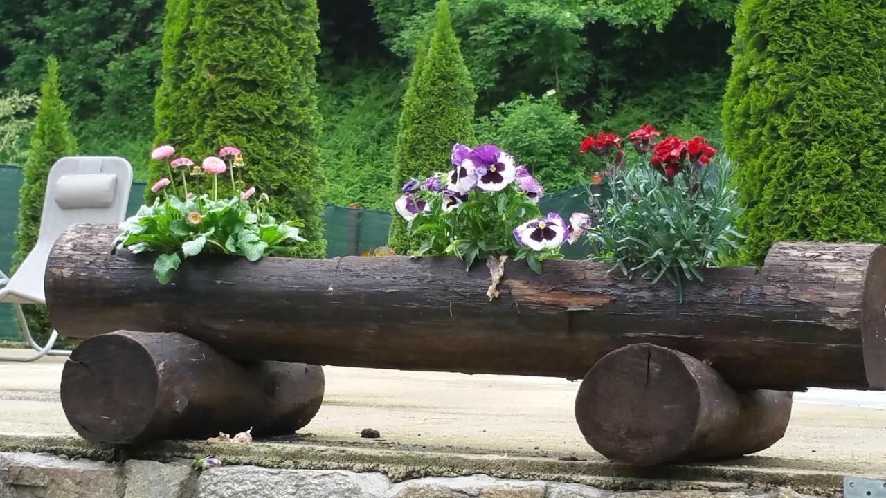 Casa Alex Villa Văliug Eksteriør bilde