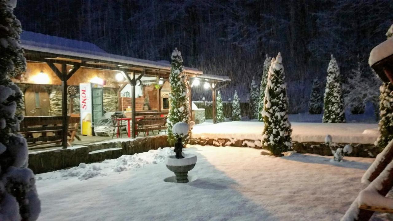 Casa Alex Villa Văliug Eksteriør bilde