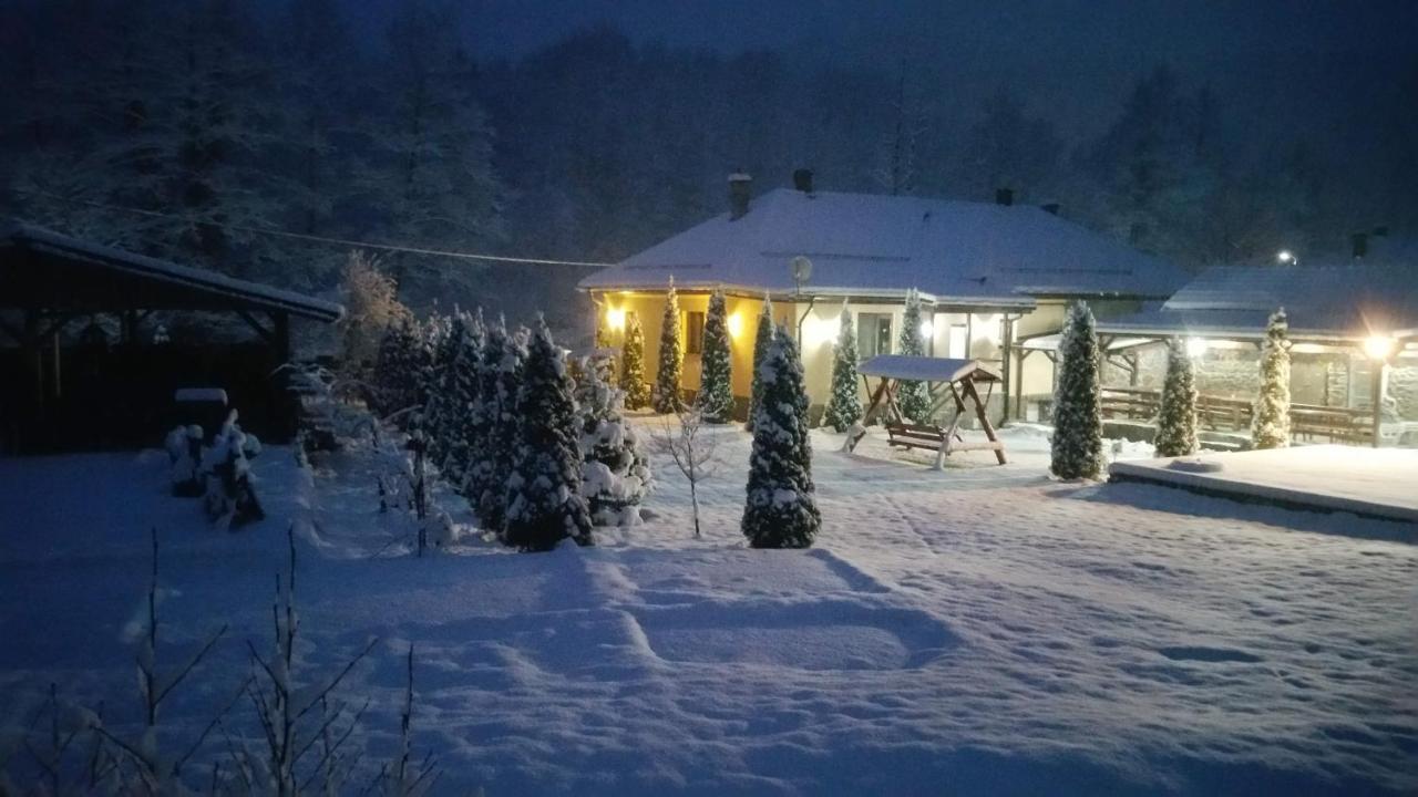 Casa Alex Villa Văliug Eksteriør bilde