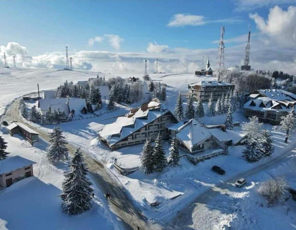 Casa Alex Villa Văliug Eksteriør bilde