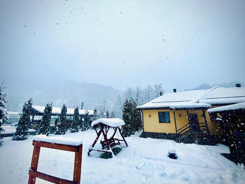 Casa Alex Villa Văliug Eksteriør bilde