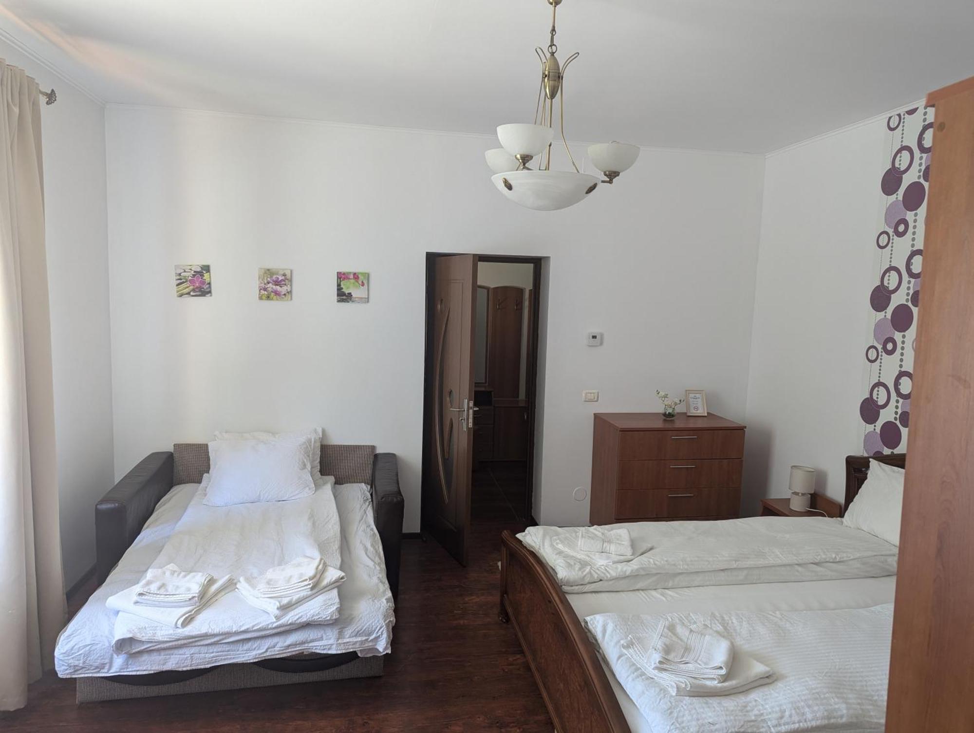 Casa Alex Villa Văliug Eksteriør bilde
